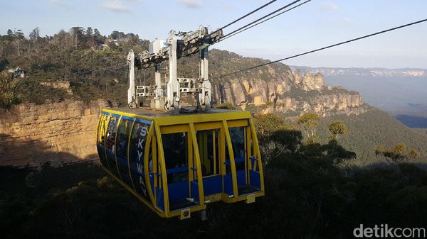 Kanguru Selfie & Kereta Gantung Tertinggi di Australia
