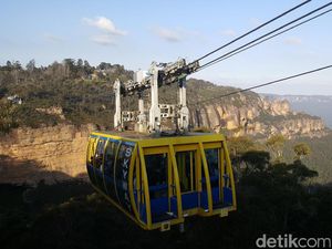 Lihat Kanguru Selfie & Naik Kereta Gantung Tertinggi, Wow Banget!