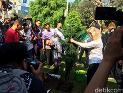 Tanam Pohon Bareng Dubes Finlandia, Ahok: Jangan Dibakar