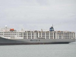 Ekspor Sapi Australia ke Indonesia Melambat