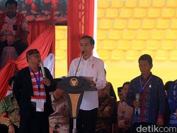 Cerita Jokowi Larang Impor Jagung untuk Sejahterakan Petani