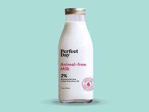 Perusahaan Ini Kembangkan Produk Susu Sapi Bukan dari Sapi!