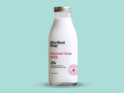 Perusahaan Ini Kembangkan Produk Susu Sapi Bukan dari Sapi!