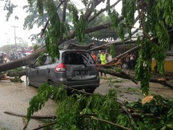Hujan dan Angin Kencang Landa Medan, Satu Mobil Tertimpa Pohon