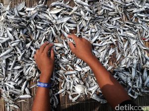 KKP Minta Industri Surimi Juga Perluas Bisnis ke Sektor Ini