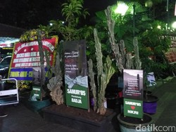 Tanaman Kaktus Hiasi Halaman Balai Kota DKI