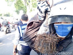 Sisir Jalan Veteran dari Ranjau, Rohim Saber Dapat 1 Kg Paku