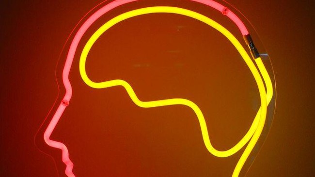 Belajar Bahasa Inggris: Makna dan Penggunaan Kata Brain dan Mind