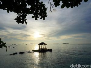 Rusaknya Terumbu Karang Karimunjawa Dilaporkan ke Kementerian LHK