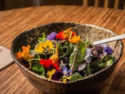 Rumput Liar dan Serangga Akan Jadi Makanan Masa Depan