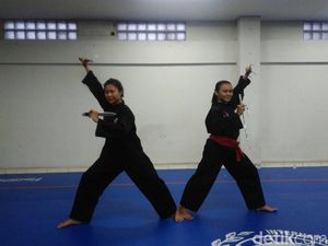 Dua Warga Kabupaten Bandung Kenalkan Pencak Silat di Markas UNESCO