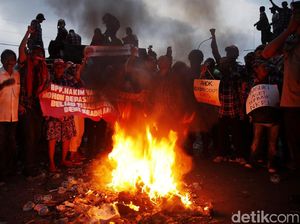 Massa Pro Ahok Lakukan Aksi Bakar-Bakar