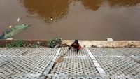 Pasukan Oranye Bersihkan Tepi Kali Ciliwung