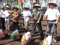 Teknologi Pertanian Selamatkan 7,3 Juta Ton Gabah Petani