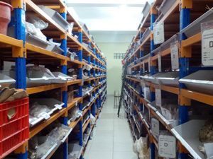 Kenapa Harus Punya Gudang di Rumah? Ini Jawabannya