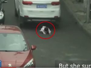 Linu, Anak 2 Tahun Ini Selamat Setelah Dikolongi 2 Mobil SUV