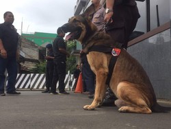 Antisipasi Massa Rusuh, 2 Anjing Pelacak Dikirim ke Mako Brimob