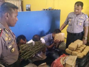 Polres Aceh Utara Gagalkan Penyelundupan 24 Kg Ganja Polres Aceh Utara Gagalkan Penyelundupan 24 Kg Ganja
