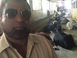Mengapa Lelaki Muslim India Ini Memilih Menjadi Pelindung Sapi?
