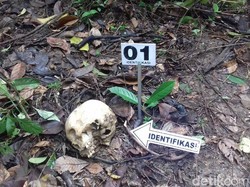 Warga Temukan Tengkorak Manusia di Kebun Sawit