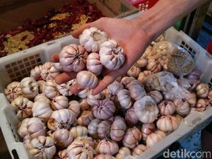 Harga Bawang Putih Naik, Pedagang: Stok di Pasar Induk Kurang