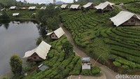 7 Wisata Alam Jabar Buat One Day Trip dari Jakarta, Yuk Berangkat!