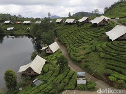 Sensasi Menginap di Tepi Danau, Coba Glamping Lakeside