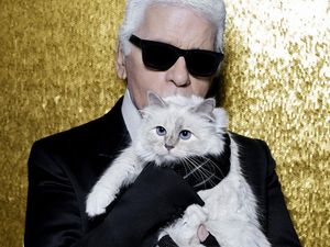Vans Gandeng Karl Lagerfeld, Koleksi Dirilis 7 September