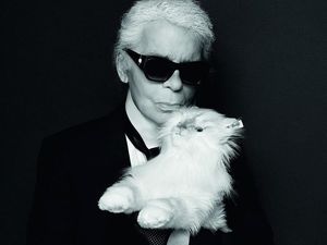 Karl Lagerfeld Jual Boneka Mirip Kucingnya Seharga Rp 7,2 Jutaan