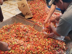Masih Pedas, Cabai Rawit Merah Tembus Rp 60 Ribu/Kg
