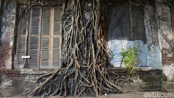 Sudut Instagrammable di Semarang, Rumah Akar