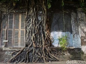 Sudut Instagrammable di Semarang, Rumah Akar