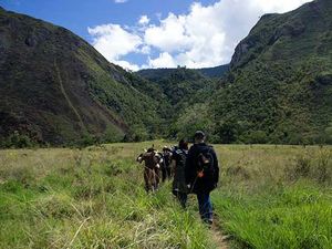 Kisah Wamena dan Nama yang Salah Kaprah