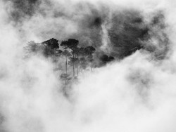 Kabut Lembut Lembah Dieng