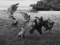 Pertengkaran hanya Menimbulkan Perpecahan