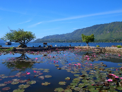 Pengelolaan Danau Efektif Bantu Kembangkan Destinasi Wisata