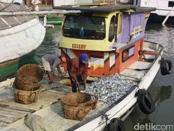 Dibekali Pelatihan, Nelayan Pasuruan Bebas Cantrang