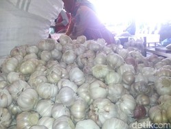 Harga Bawang Putih di Aceh Naik Hingga Rp 46.000/Kg