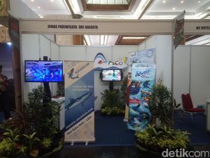 Indofest 2017 Punya Stand Hewan Laut, Seperti Apa Ya? Indofest 2017 Punya Stand Hewan Laut, Seperti Apa Ya?