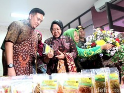 Tahun Ini Pemkot Surabaya Beli 17 Bekas Wisma di Dolly dan Jarak