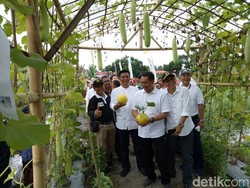 Warga Pesta Buah Lokal di Agro Expo Banyuwangi