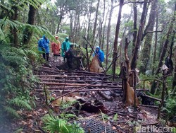 Balai Besar TNGGP Tetap Proses Hukum Didin Pemburu Cacing Sonari