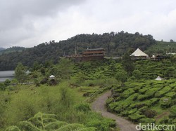 Sayang Bumi! Liburan Sambil Ramai-ramai Menanam Pohon di Bandung