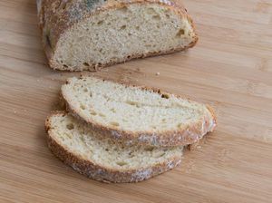 Roti Berjamur Masih Aman Dimakan Asal Perhatikan Hal Penting Ini