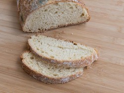 Roti Berjamur Masih Aman Dimakan Asal Perhatikan Hal Penting Ini