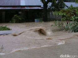 Ratusan Rumah di Kendari Terendam Banjir 1 Meter, Warga Kalang Kabut