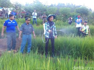 Kunjungan ke Trenggalek, Ibas: Petani Berhak Dapat Penghidupan Layak