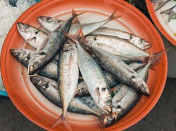 Si Kecil Bisa Lebih Cerdas dan Sehat Jika Sering Konsumsi Ikan