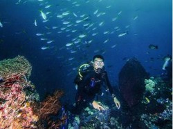 Ayo Catat 12 Agenda Pariwisata Keren di Raja Ampat