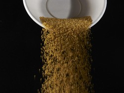 Konsumsi Jawawut Bisa Bantu Turunkan Kadar Gula Darah